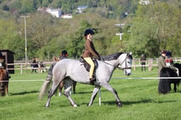 C19_0423 2026