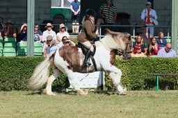 S61_0739 2026