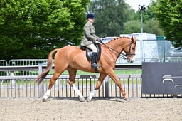 A28_1808 2026