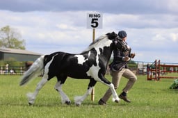 J36_7507 2026