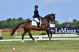 B21_6131 2026