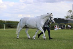 J36_7492 2026