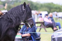 M36_0742 2026