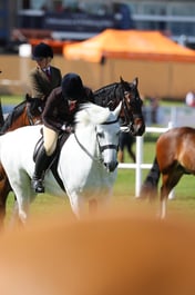 H46_6075 2026