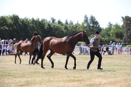 H60_0670 2026