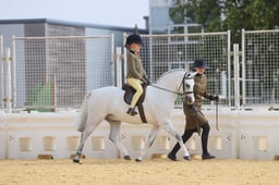 108 Lead Rein of Hunter Type