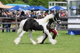S28_8459 2026