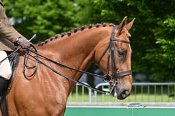 A28_1743 2026