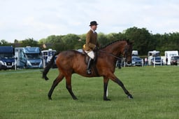 E36_0460 2026