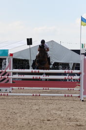 Pegasus VH Maarlo