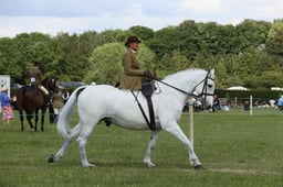 E36_2119 2026