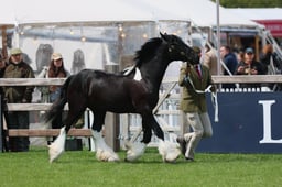 S28_8355 2026