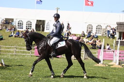 566 FERNHILL DERRY GIRL