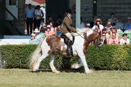S61_0690 2026