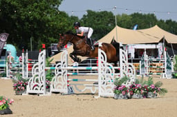 H48_2164 2026