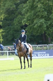 18 KILLOUGHEY CLOVER IMP