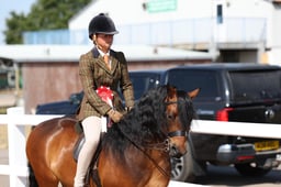 101L M&M Ridden Small Breed Championship