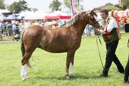 E34_2008 2026