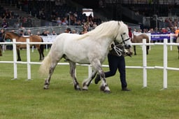 M44_0796 2026
