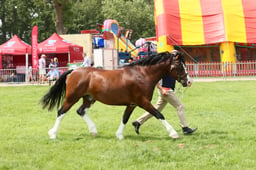 E34_2207 2026