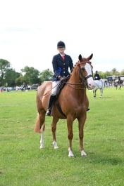 N36_1644 2026