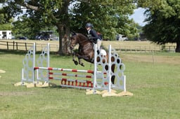 285 DOONAVEERAGH LASS