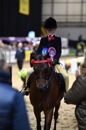 128cm Show Pony of the Year