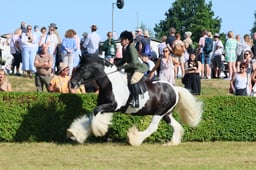 S61_0554 2026