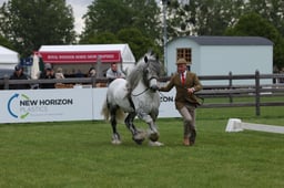 W29_0834 2026