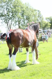 E33_4330 2026