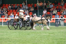 H256 Driving Concours