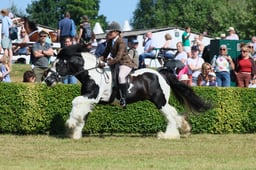 S61_0834 2026