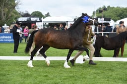 N29_0821 2026