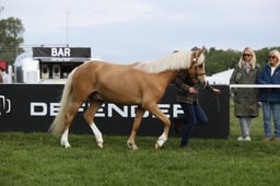 E29_0044 2026