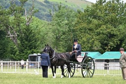 H255 HOYS Private Driving Large