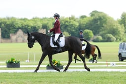 257 CAHERADOO DUCHESS