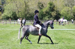 C19_1403 2026