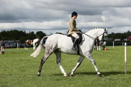 E36_0702 2026