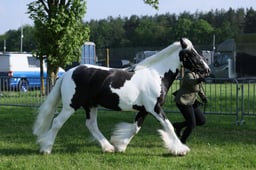 C34_0430 2026