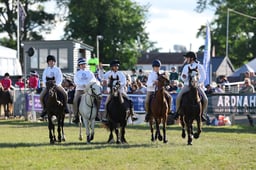 H46_8358 2026