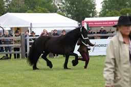 W29_0887 2026