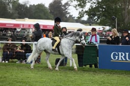 E30_4761 2026