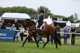 E30_5064 2026