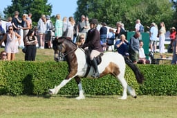 S61_0546 2026