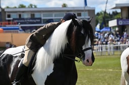 A47_2471 2026