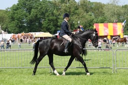 C33_1281 2026