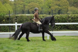 37-38 M&M Pure Novice Ridden