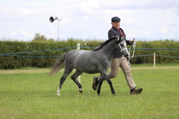 J36_7142 2026