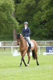 Intermediate