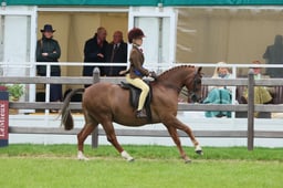 S31_8624 2026
